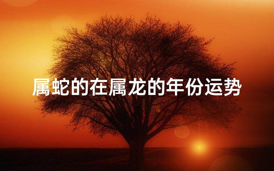属蛇的在属龙的年份运势好吗_属蛇人在属龙年运势如何？运势大揭秘