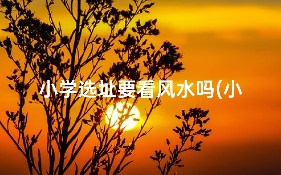 小学选址要看风水吗(小学选址风水之谜：选址真的要看风水吗？)