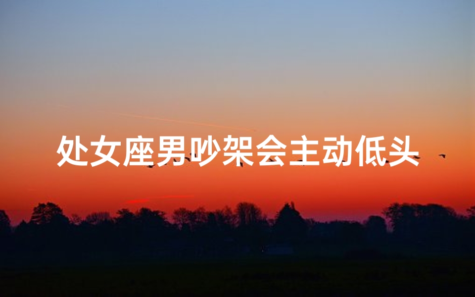 处女座男吵架会主动低头吗_处女座男吵架后，会主动低头认错吗？