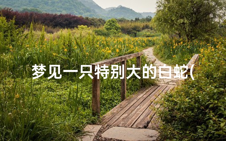 梦见一只特别大的白蛇(梦见一条超级巨大的白蛇)