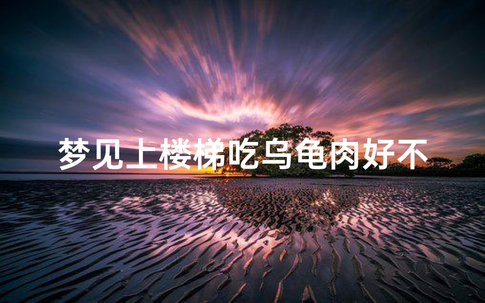 梦见上楼梯吃乌龟肉好不好(梦见爬梯子吃东西)