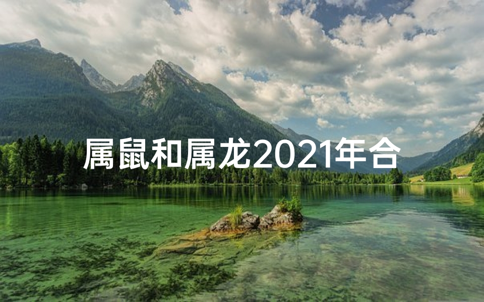 属鼠和属龙2021年合作