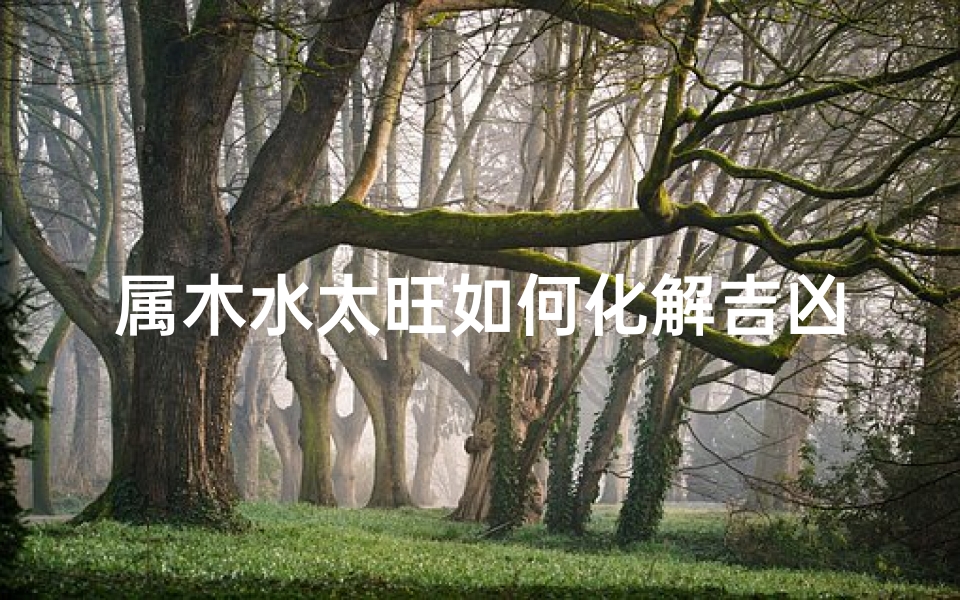 属木水太旺如何化解吉凶—属木水太旺化解吉凶之道