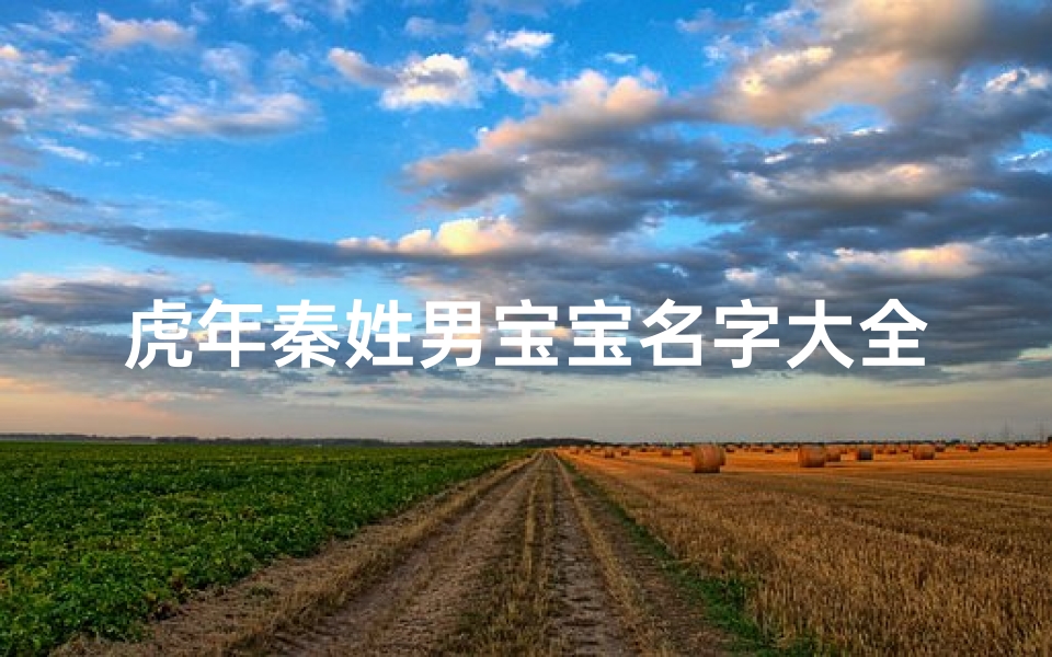 虎年秦姓男宝宝名字大全
