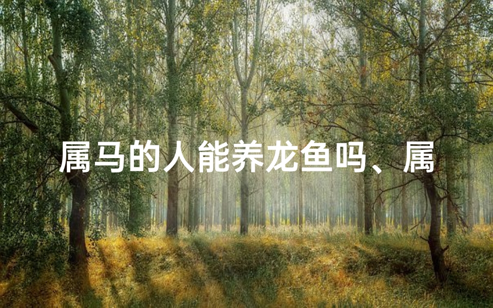 属马的人能养龙鱼吗、属马人养龙鱼：命运相融的奇妙缘分