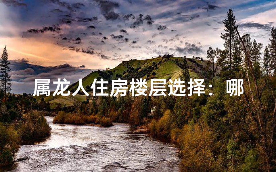 属龙人住房楼层选择：哪一层最适合？