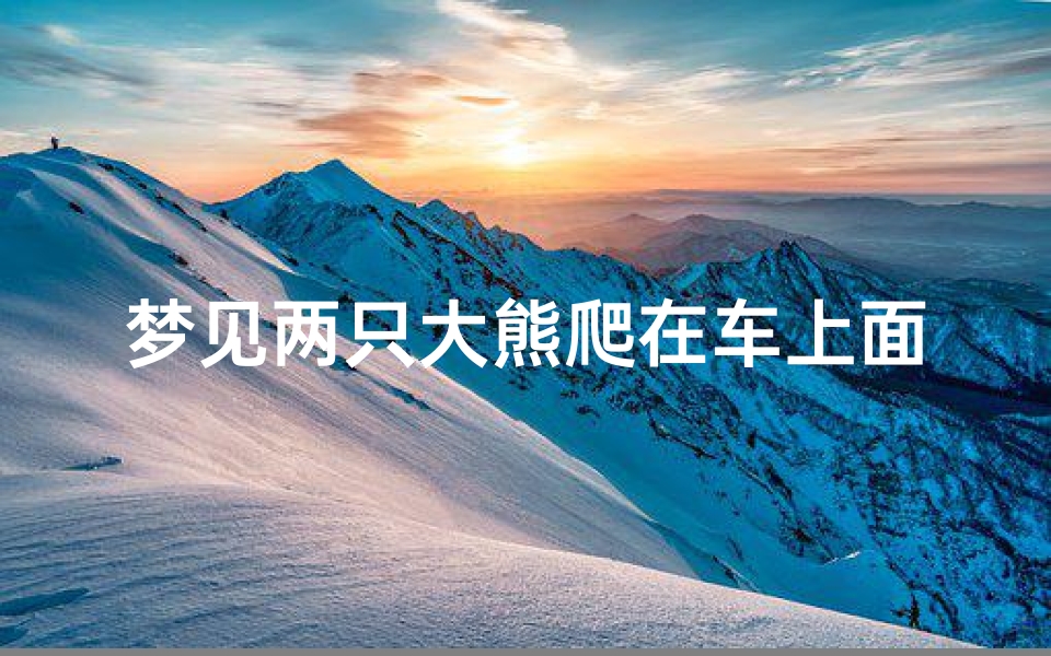 梦见两只大熊爬在车上面(梦见两只大熊爬在车上面走)
