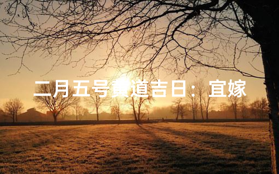 二月五号黄道吉日：宜嫁娶，旺运良辰