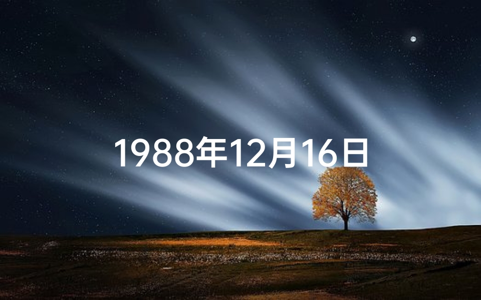 1988年12月16日农历是阳历几号_《1988年12月16日命格：时光之约》