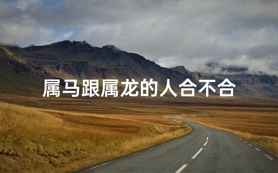 属马跟属龙的人合不合