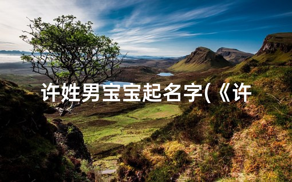 许姓男宝宝起名字(《许氏宝宝，吉祥如意，名字大公开》)