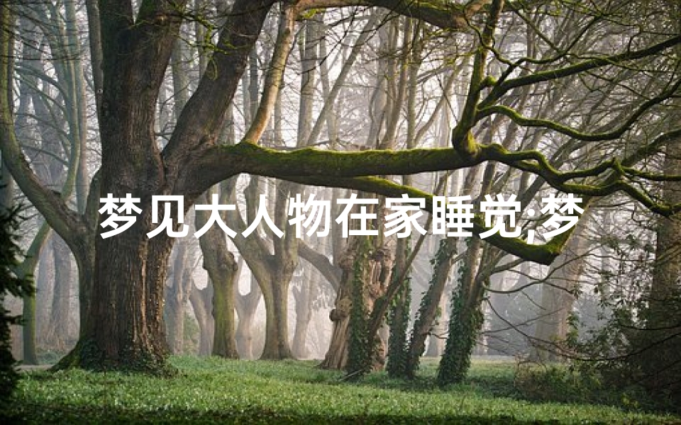 梦见大人物在家睡觉;梦见一屋子人睡觉