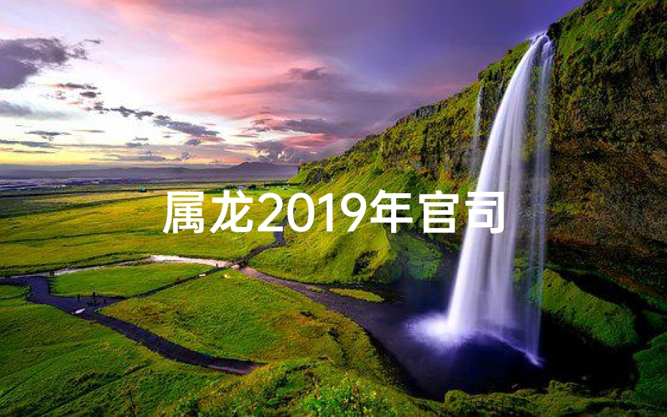 属龙2019年官司