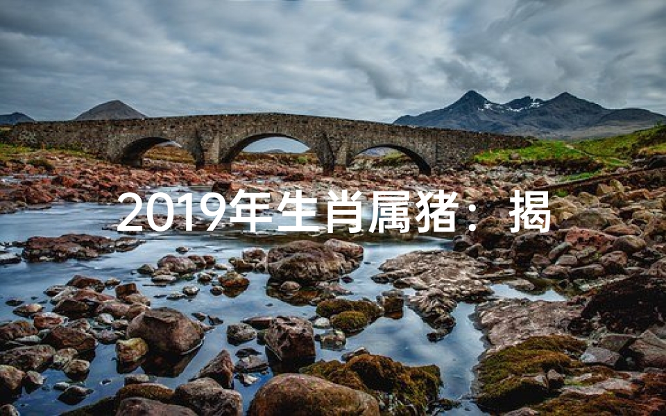 2019年生肖属猪：揭秘新生代命格之谜