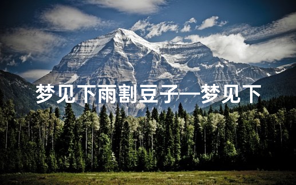 梦见下雨割豆子—梦见下雨割豆子什么意思