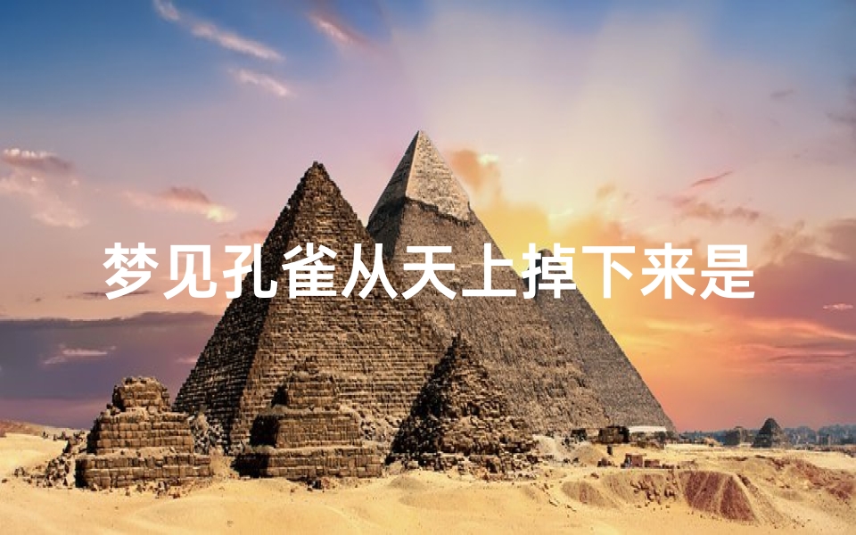 梦见孔雀从天上掉下来是什么意思、梦见孔雀在天上飞着飞着掉下来