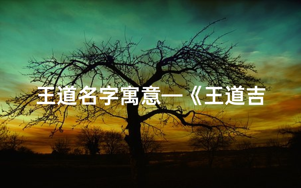 王道名字寓意—《王道吉凶一测便知：名字测试大全揭秘》
