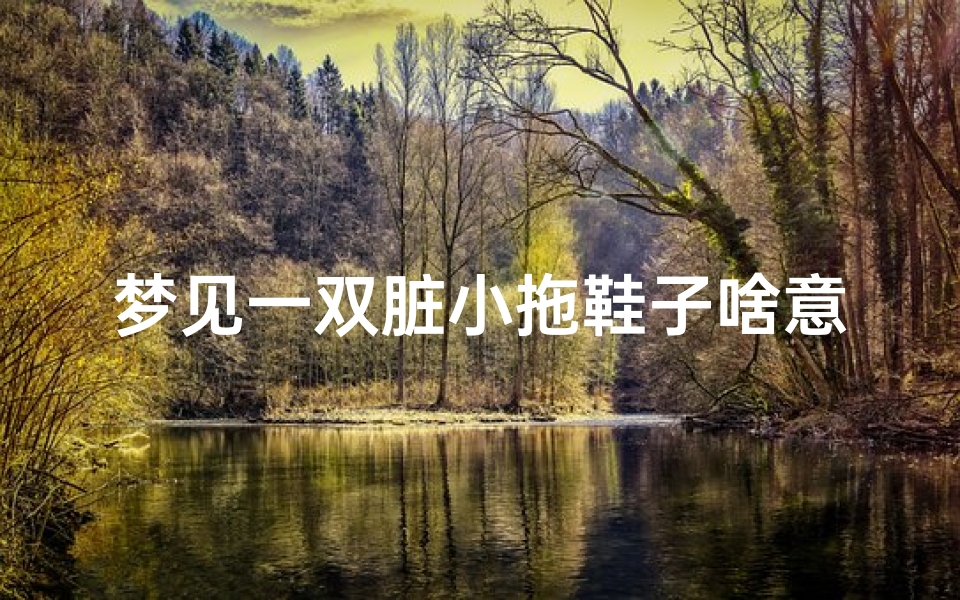 梦见一双脏小拖鞋子啥意思;梦到脏拖鞋