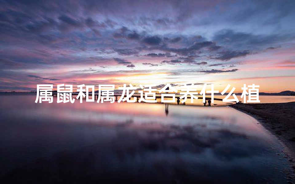 属鼠和属龙适合养什么植物,属鼠和属龙做什么生意好