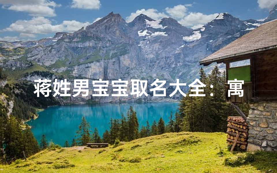 蒋姓男宝宝取名大全：寓意吉祥，彰显个性