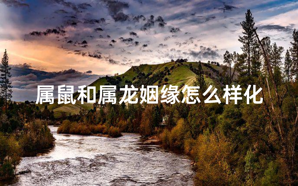 属鼠和属龙姻缘怎么样化解;属鼠属龙姻缘化解之道