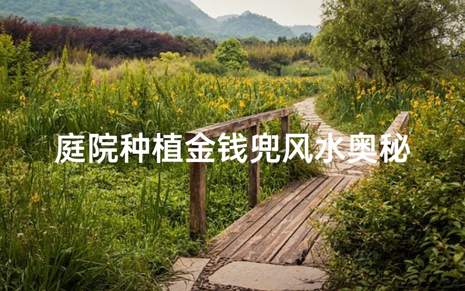 庭院种植金钱兜风水奥秘解析