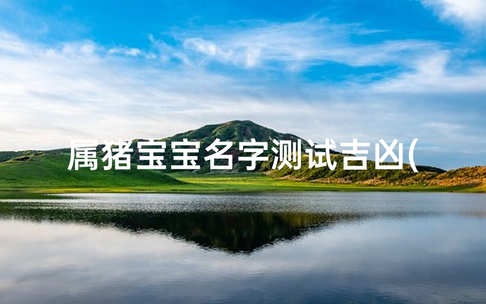 属猪宝宝名字测试吉凶(属猪宝宝名字吉凶测试：解码幸运好名)