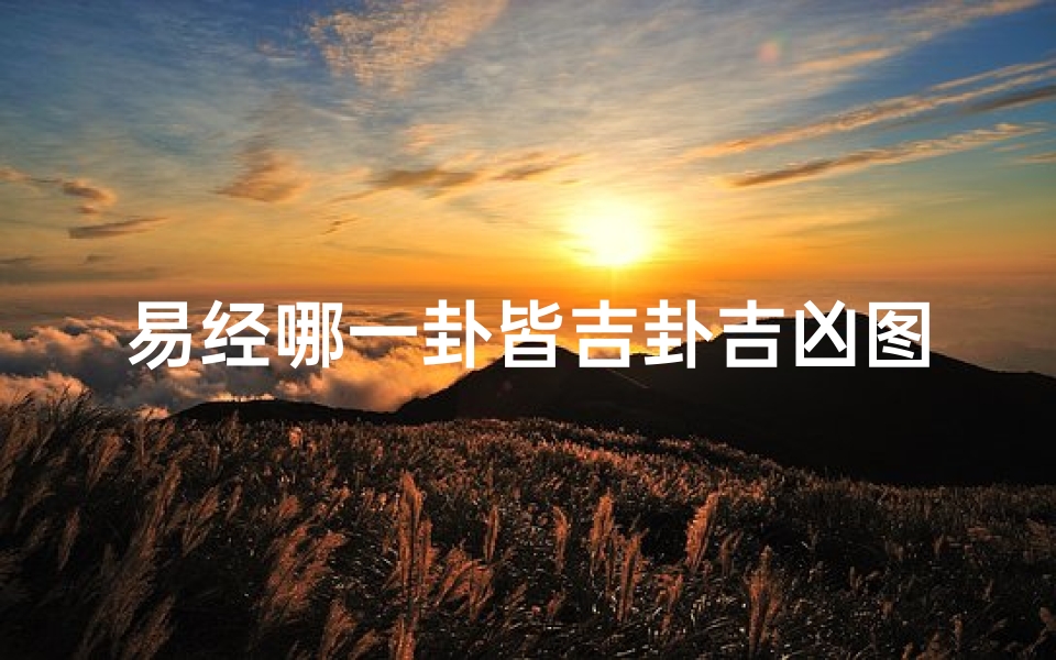 易经哪一卦皆吉卦吉凶图,易经最吉利的一卦