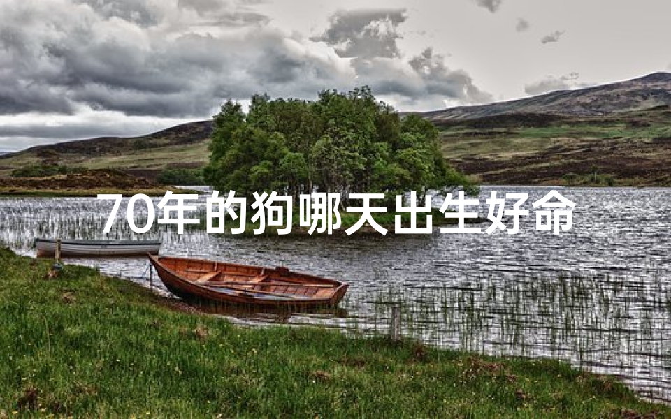 70年的狗哪天出生好命,《70年狗年：揭秘哪天出生的狗狗命运最佳》