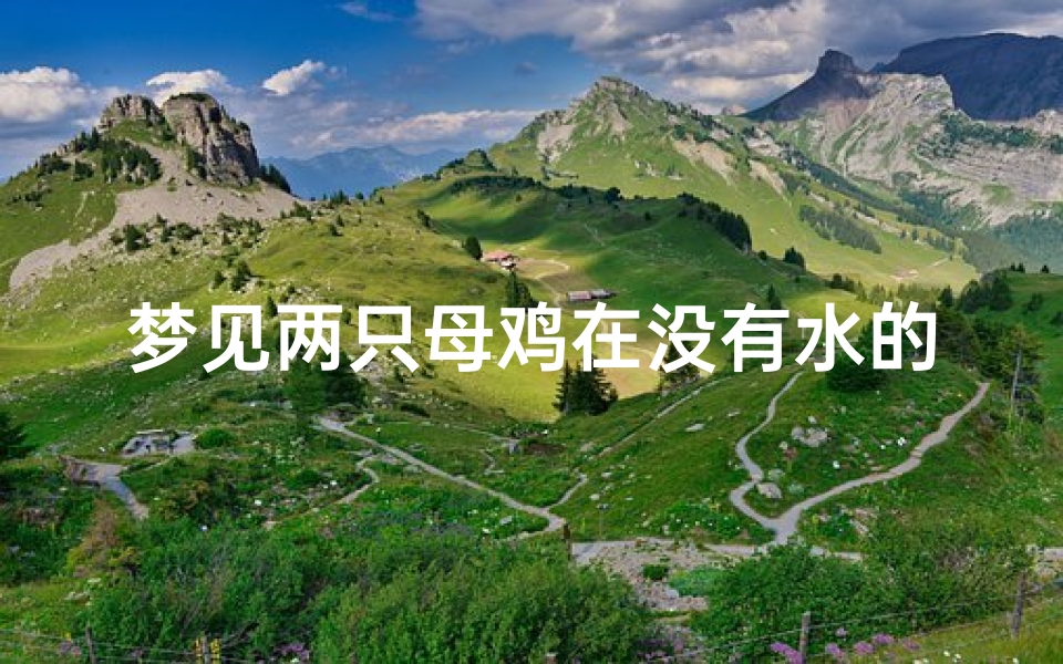 梦见两只母鸡在没有水的池塘里_梦见母鸡在水里孵小鸡