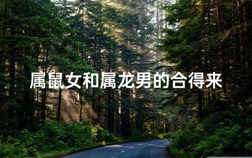 属鼠女和属龙男的合得来吗