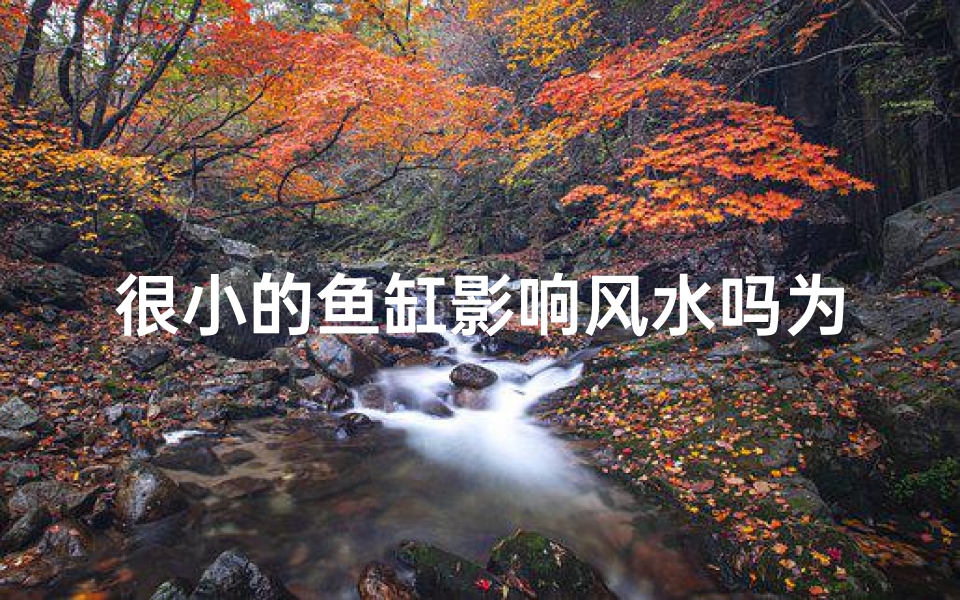 很小的鱼缸影响风水吗为什么-《迷你鱼缸风水影响揭秘：小空间大作用》