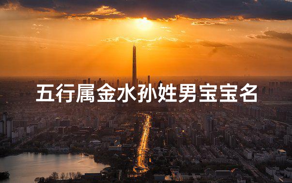 五行属金水孙姓男宝宝名字;五行金水孙氏男宝宝，寓意璀璨如星，智慧如泉，吉祥如意名