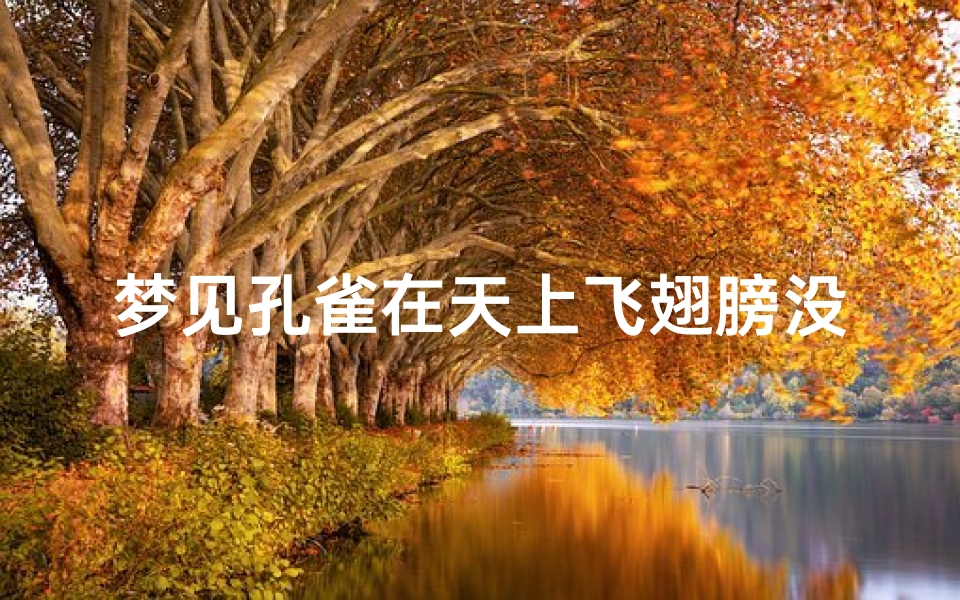 梦见孔雀在天上飞翅膀没打开、梦见孔雀在天空中开屏和飞翔