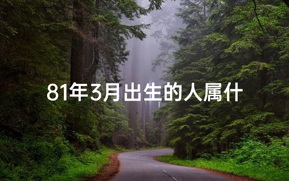 81年3月出生的人属什么命格？