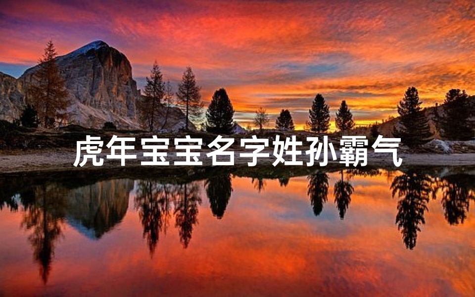 虎年宝宝名字姓孙霸气