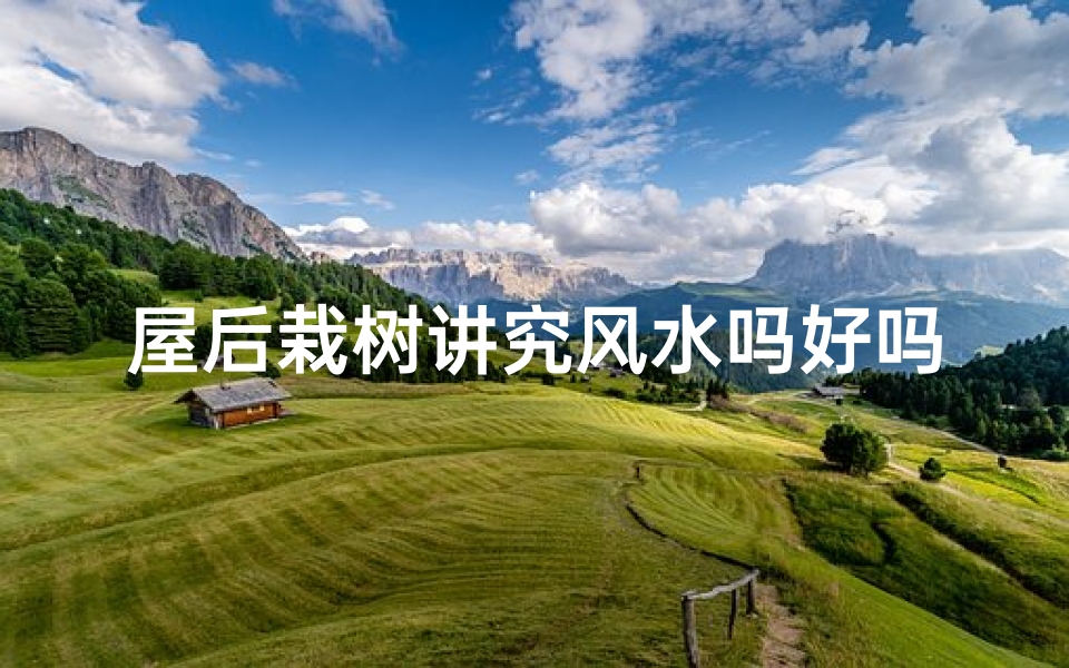 屋后栽树讲究风水吗好吗视频—屋后栽树风水讲究：树木种植的五大禁忌