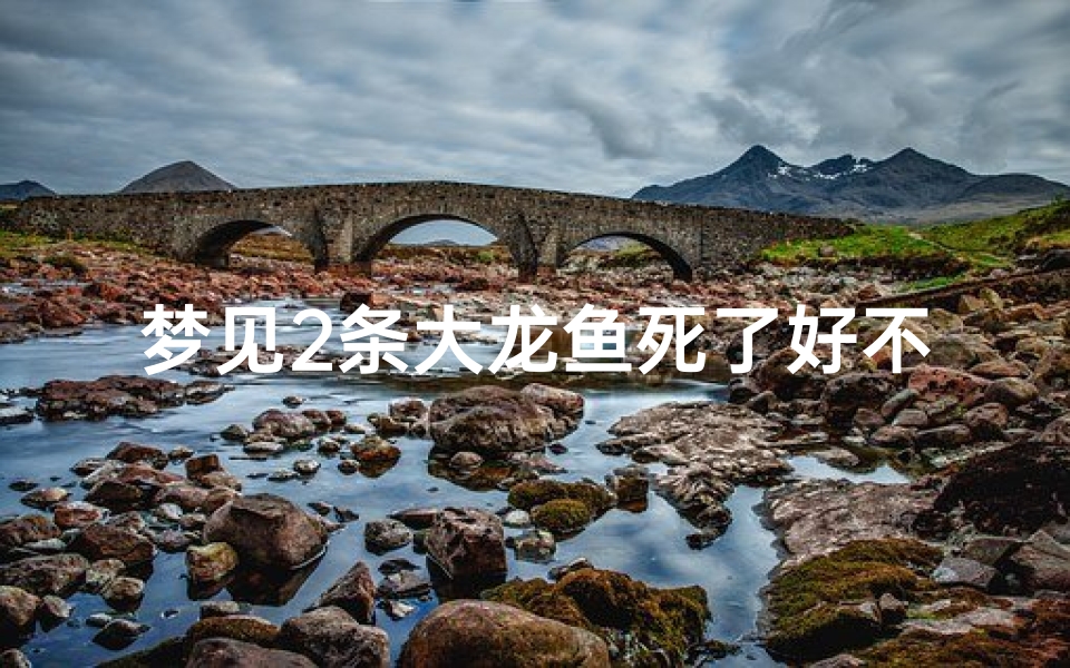 梦见2条大龙鱼死了好不好-梦见两条大龙