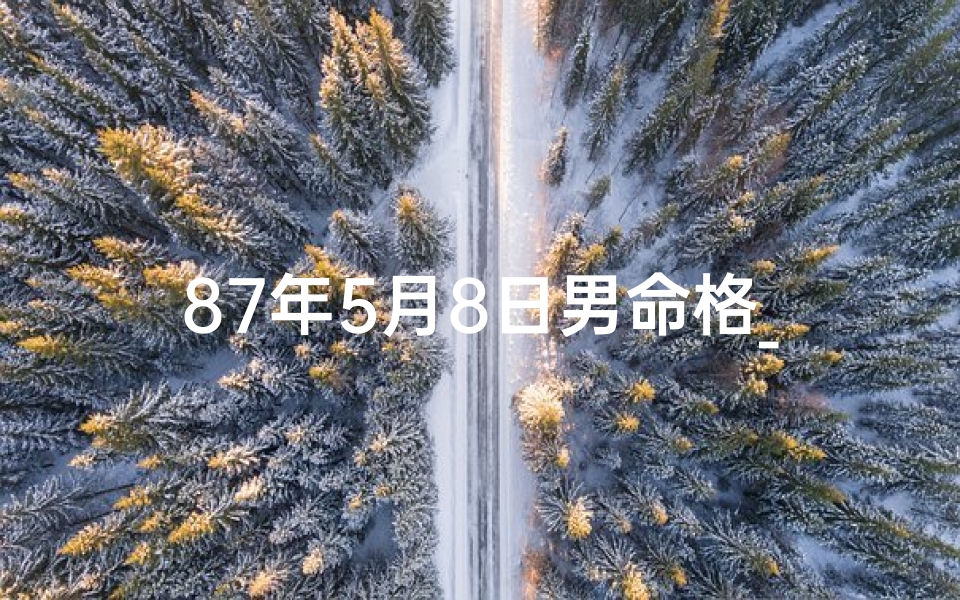 87年5月8日男命格_《87年5月8日男命格：揭秘独特命运密码》
