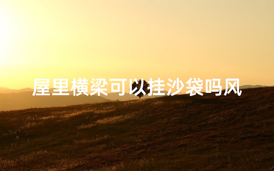 屋里横梁可以挂沙袋吗风水-家中横梁下可以放绿植吗
