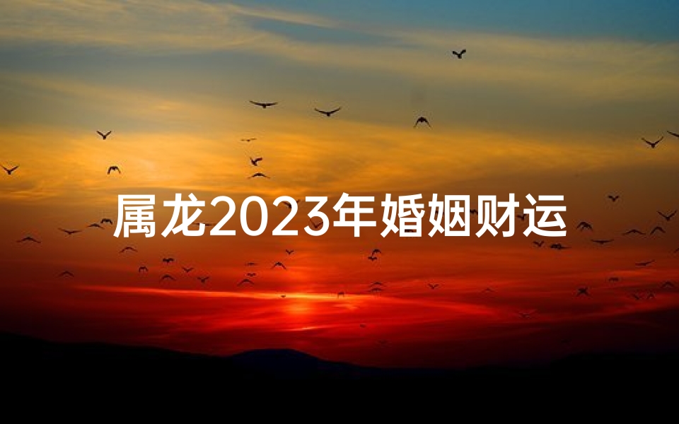 属龙2025年婚姻财运