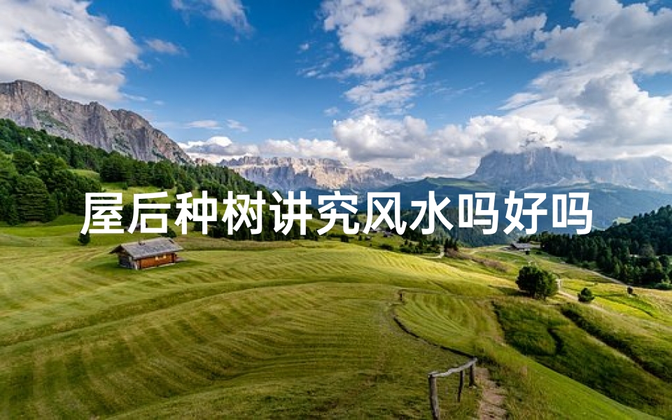屋后种树讲究风水吗好吗、屋后种树好吗？屋后种什么树好？