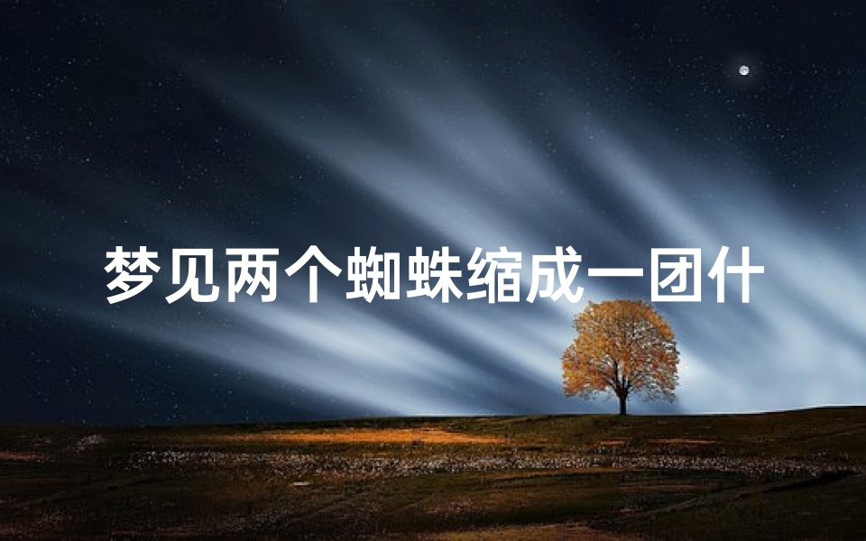 梦见两个蜘蛛缩成一团什么预兆—梦见2个蜘蛛