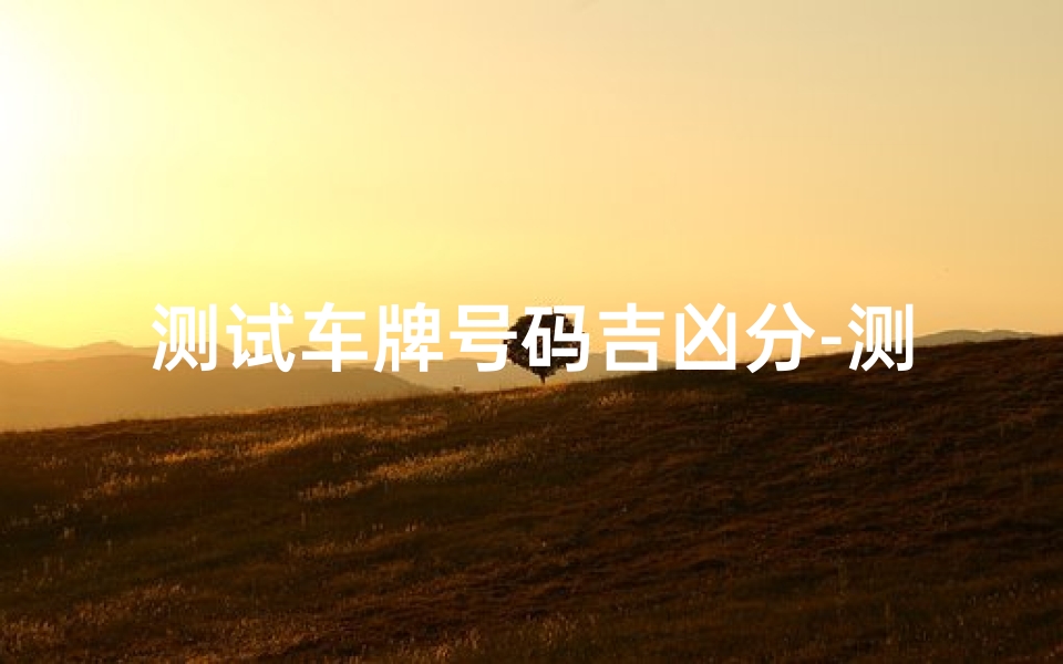 测试车牌号码吉凶分-测试车牌号码吉凶得分