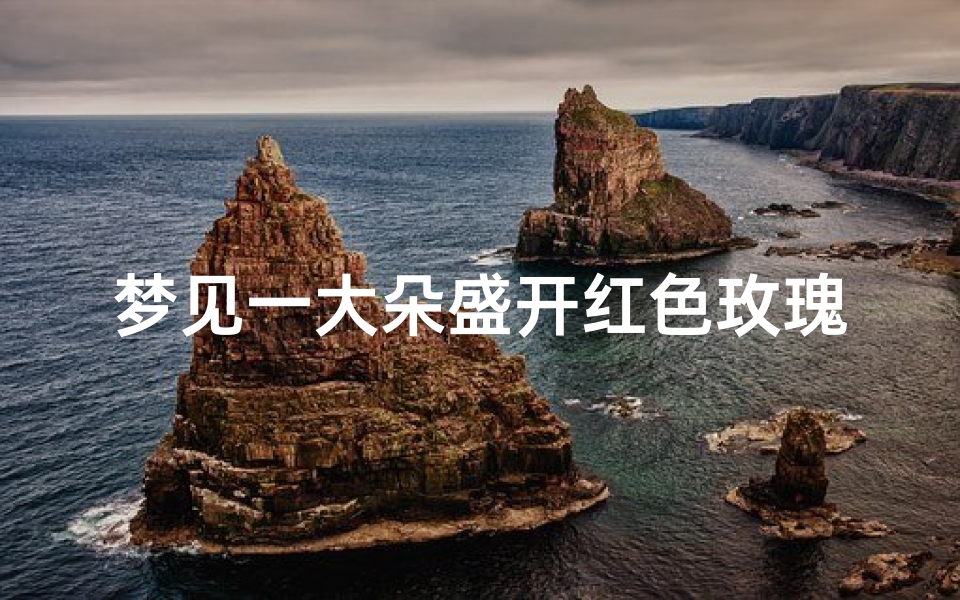梦见一大朵盛开红色玫瑰(梦见一朵鲜红的玫瑰花)