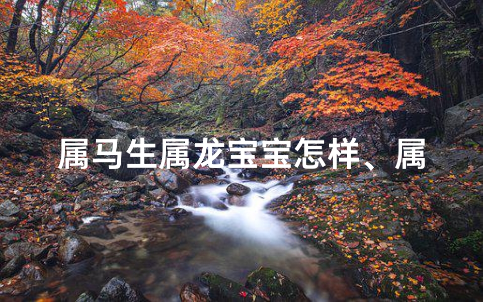 属马生属龙宝宝怎样、属马的生一个属龙的宝宝