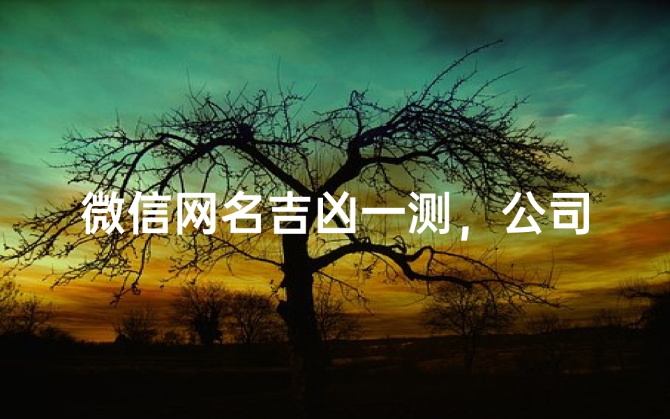 微信网名吉凶一测，公司运势大揭秘