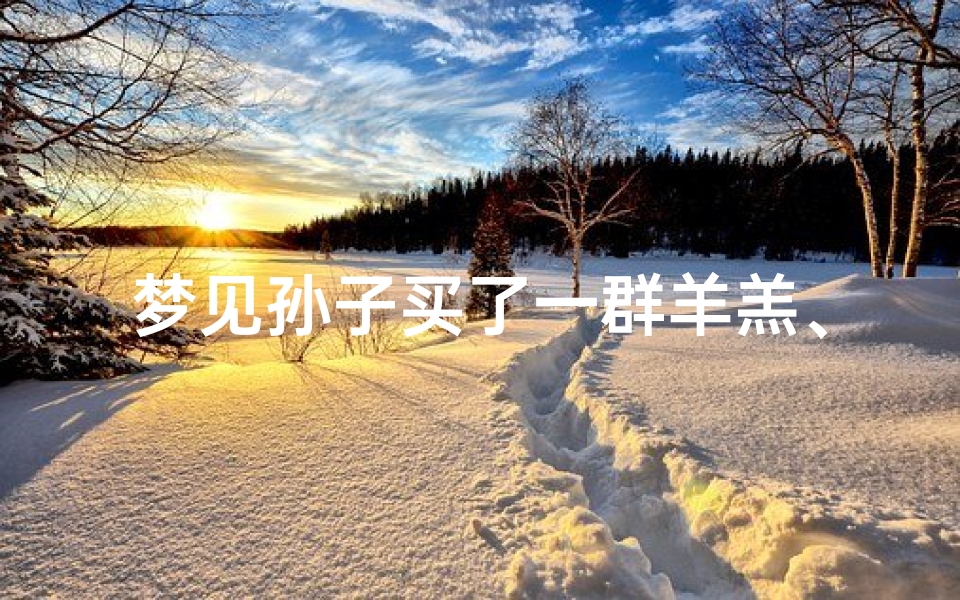 梦见孙子买了一群羊羔、梦到买羊羔