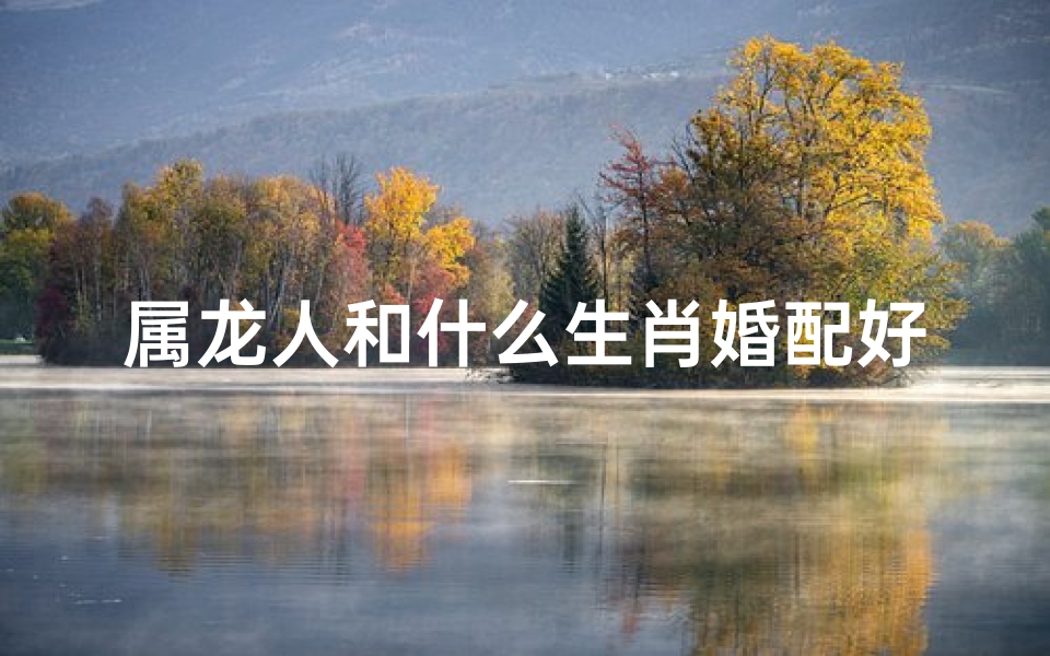 属龙人和什么生肖婚配好