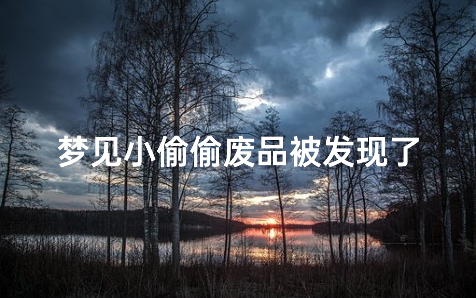 梦见小偷偷废品被发现了、梦见小偷偷我的东西被发现拿回